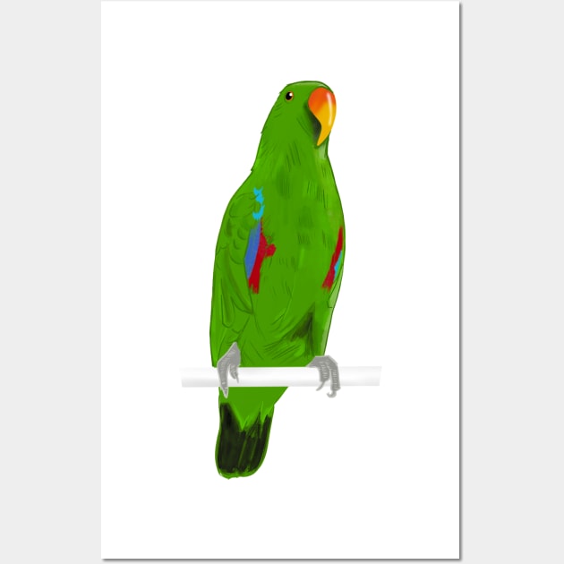 Ekkie Cute Green Eclectus Parrot for parrot lovers Wall Art by SusanaDesigns